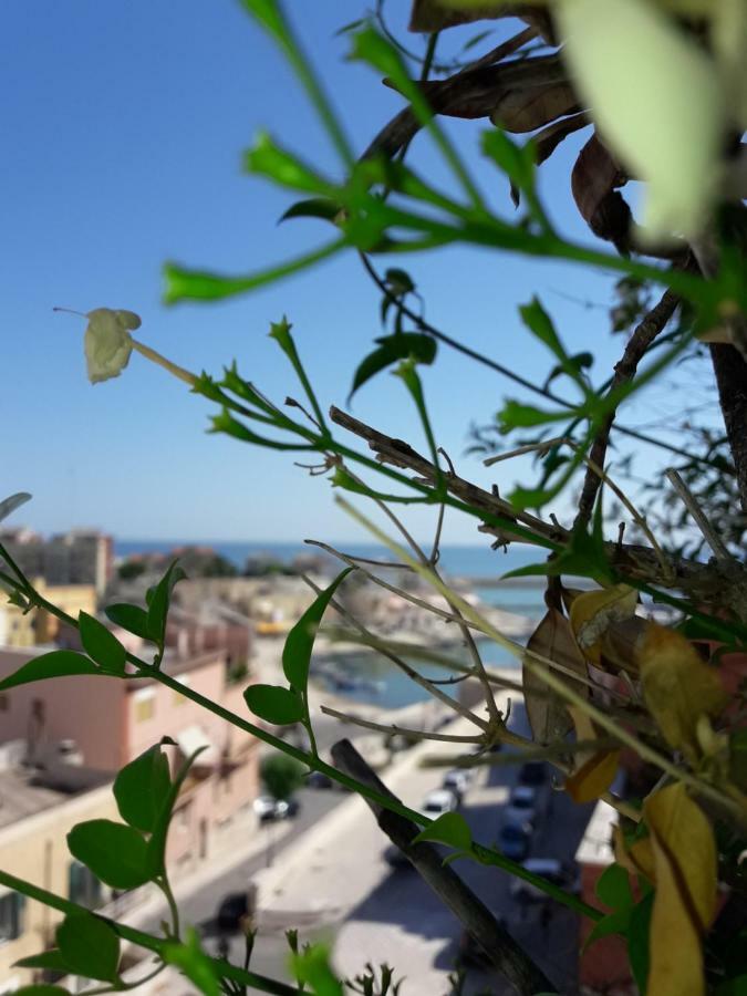 B&B Le Terrazze Bisceglie Eksteriør bilde